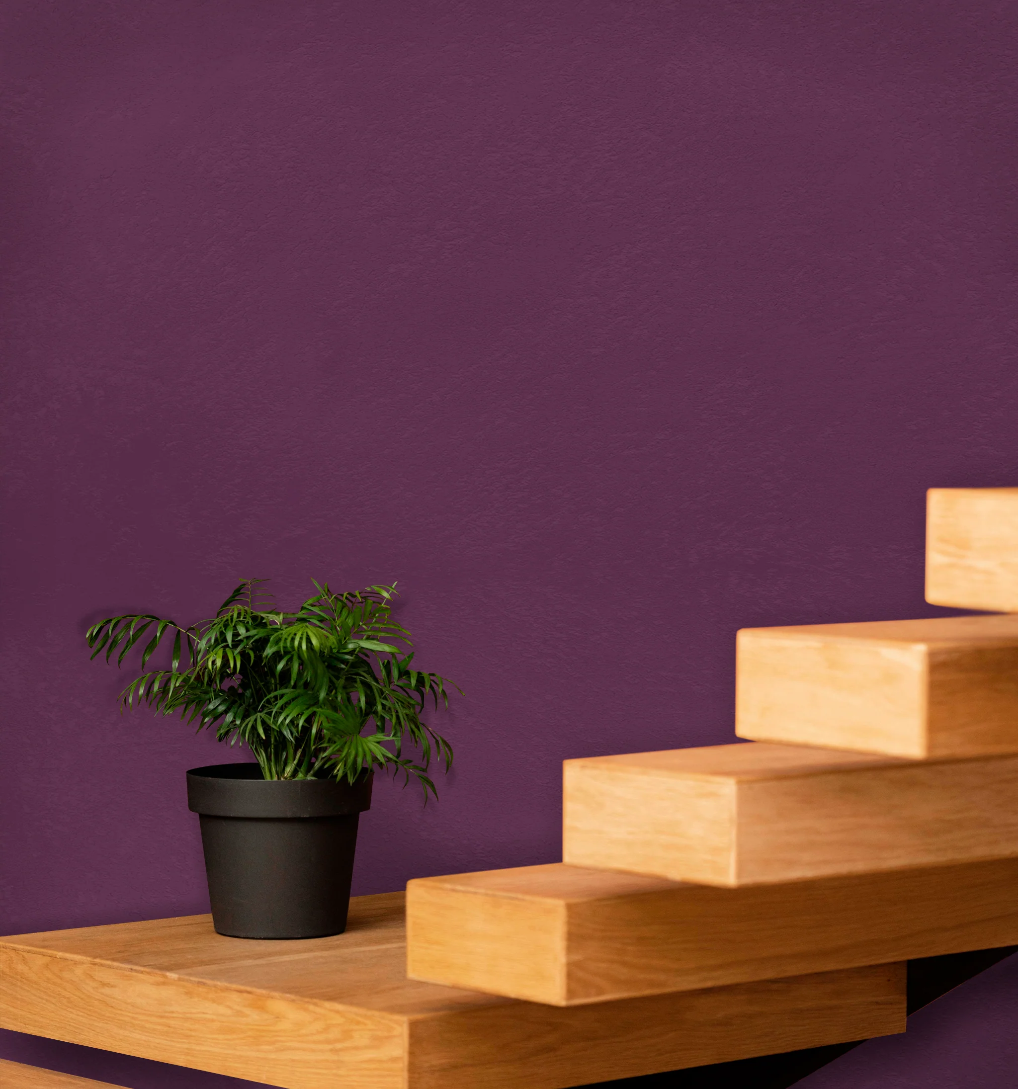 Product image 196