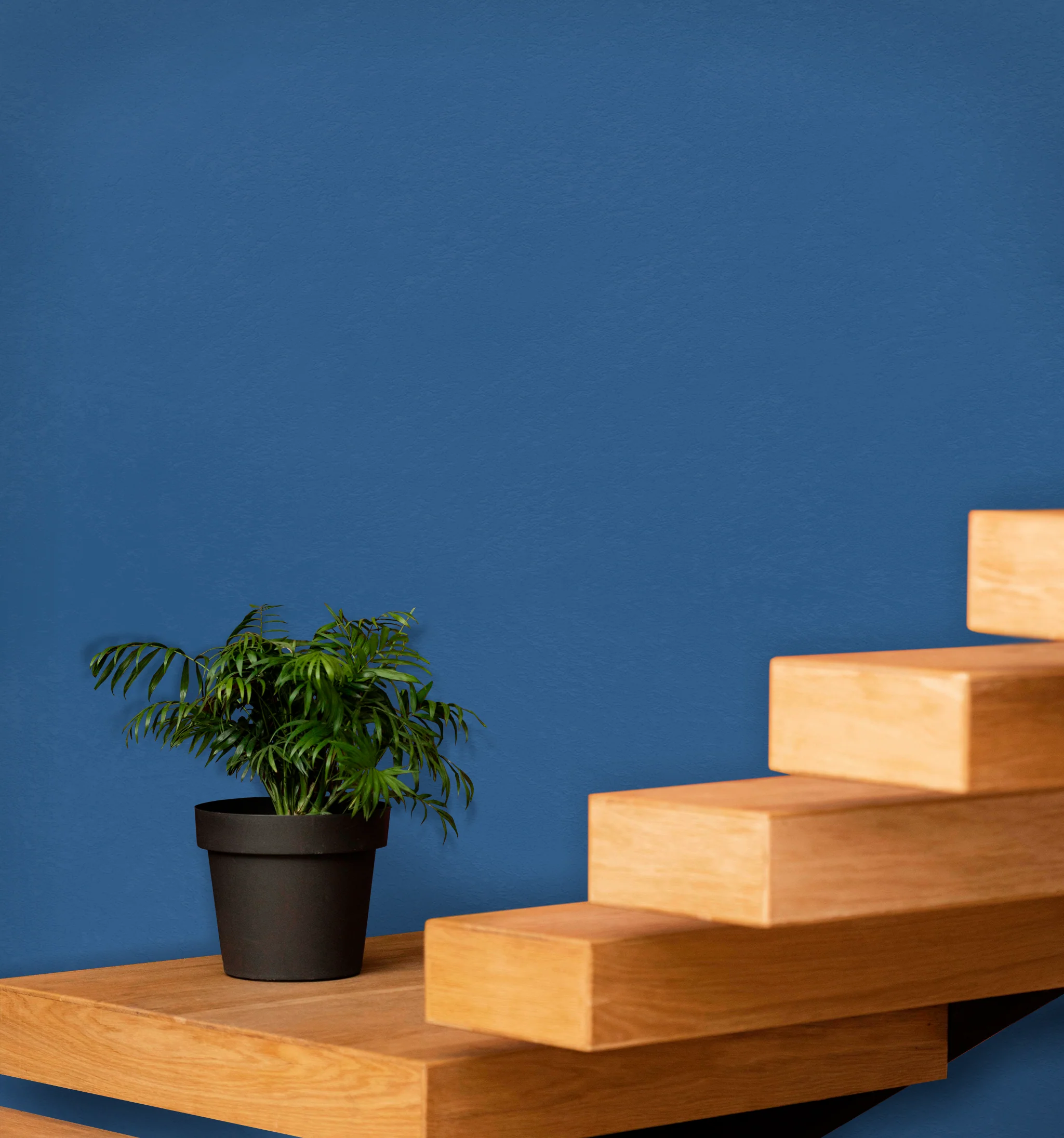 Product image 204
