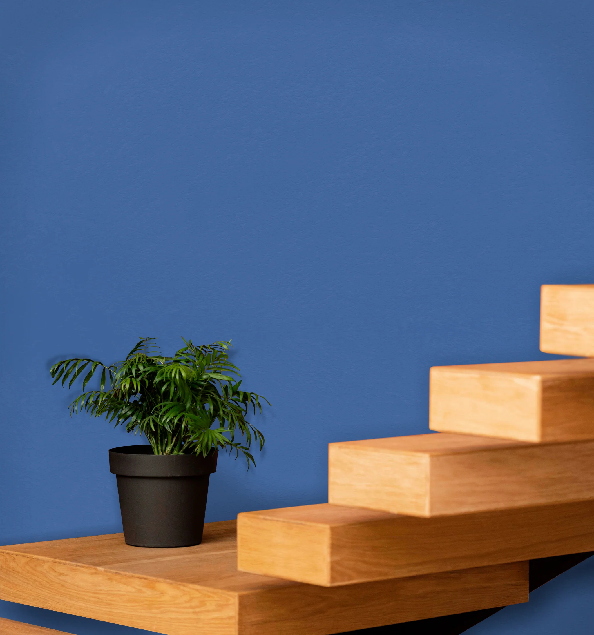 Product image 210